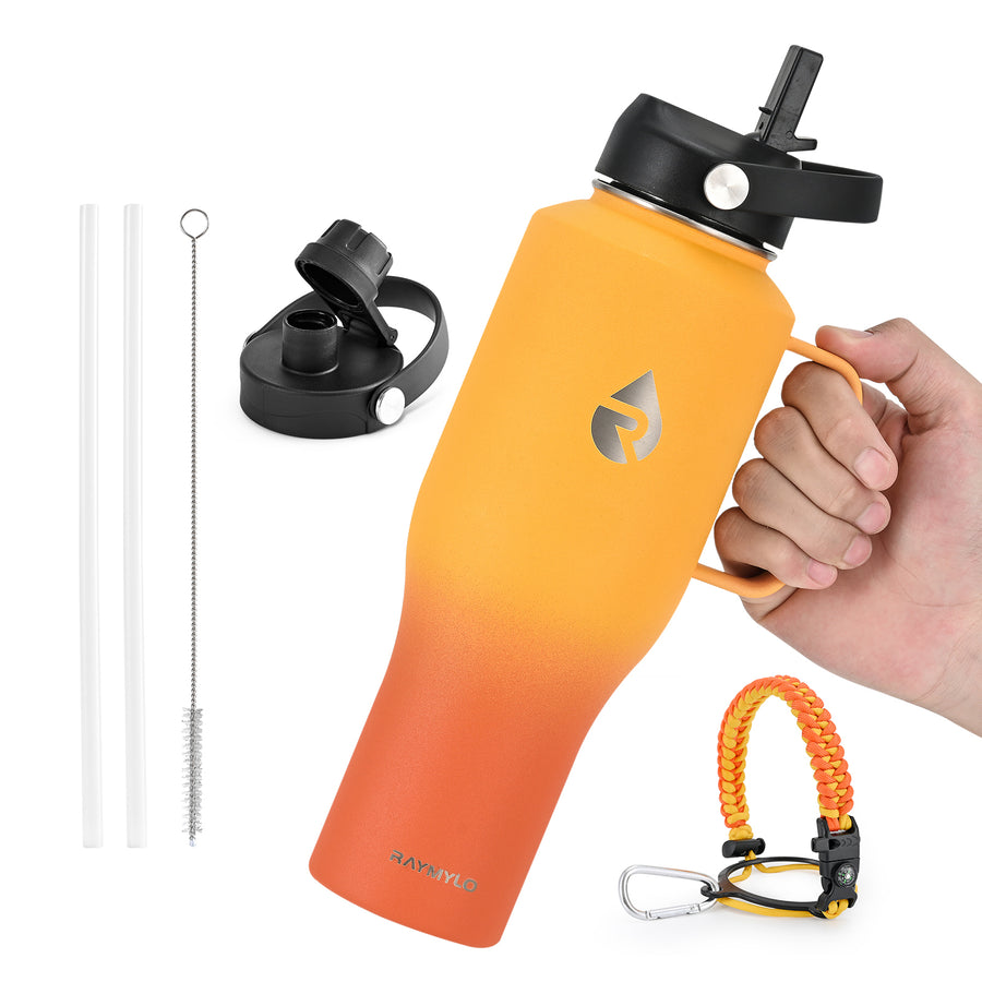 Insulated Water Tumbler with handle
