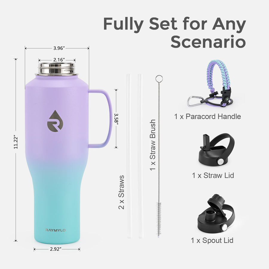 Insulated Water Tumbler with handle