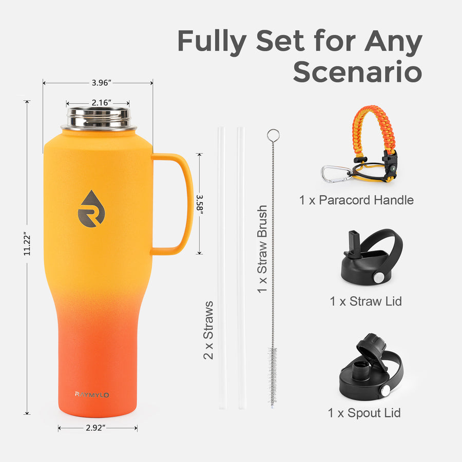 Insulated Water Tumbler with handle